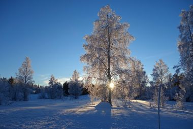 Vinter