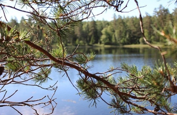 kollegor arbetar vid dator